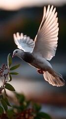 Graceful dove in flight, wings outstretched, near foliage