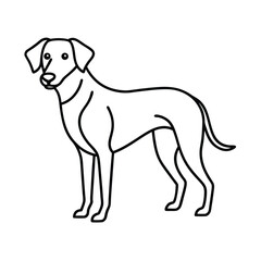 vector illustration of a dog