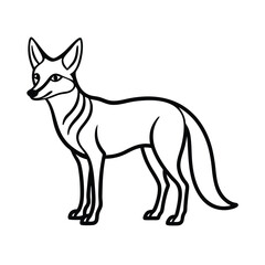 vector illustration of a jackal