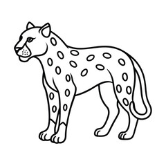 vector illustration of a jaguar