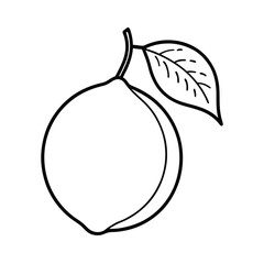 vector illustration of a lemon 
