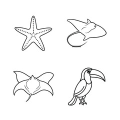 Obraz premium Starfish manta