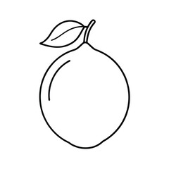 lemon fruit vector illustration