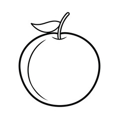 medlar fruit vector illustration