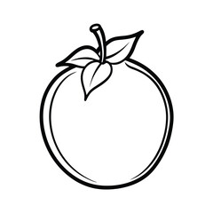 medlar fruit vector illustration