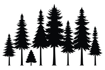 Fototapeta premium Silhouettes of evergreen trees in a forest&nbsp;setting