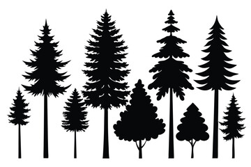 Obraz premium Silhouettes of evergreen trees in a forest&nbsp;setting