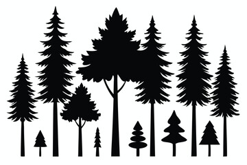 Fototapeta premium Silhouettes of evergreen trees in a forest&nbsp;setting