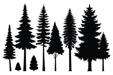Obraz premium Silhouettes of evergreen trees in a forest&nbsp;setting