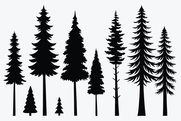 Obraz premium Silhouettes of evergreen trees in a forest&nbsp;setting