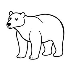 polar bear vector illustration
