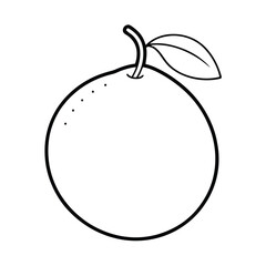pomelo fruit vector illustration