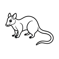 possum animal vector illustration