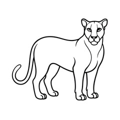puma animal vector illustration