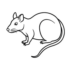 vector illustration of a rat