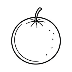 satsuma fruit vector illustration