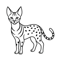 serval animal vector illustration
