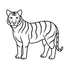 tiger vector illustration