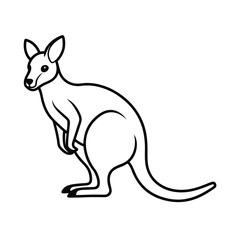 wallaby animal vector illustration