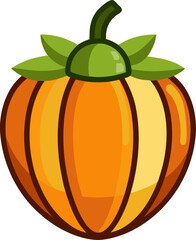 vector illustration of a Acorn squash 