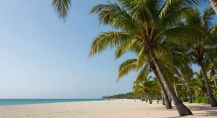 Obraz premium Tropical beach, Palm trees, Coconut palm, Idyllic Tropical Beach with Palm Trees