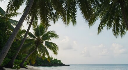 Tropical beach, Palm trees, Ocean, Tropical Beach Paradise with Palm Trees and Ocean View