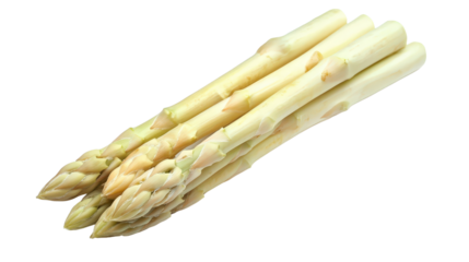 White asparagus spears with pale skin and blunt tips, spring vegetable, Transparent background, PNG file