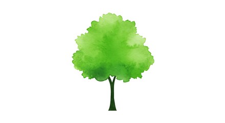 Green watercolor tree illustration