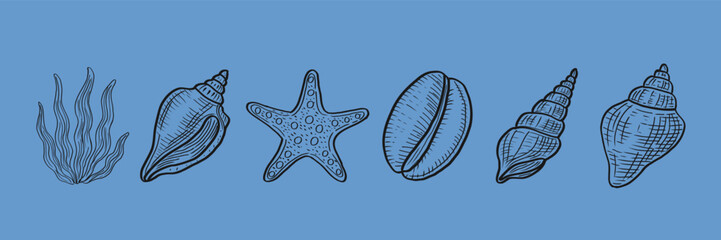Sea elements on blue set vector. Seashell vector set, coral plants, and starfish in black on deep blue.