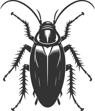 black cockroach insect detailed view clip art preview