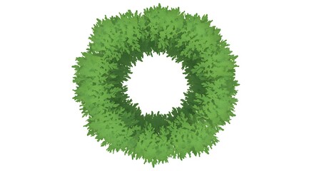 Overhead view of a vibrant circular arrangement of green foliage isolated