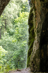 Small waterfall in the summer forest