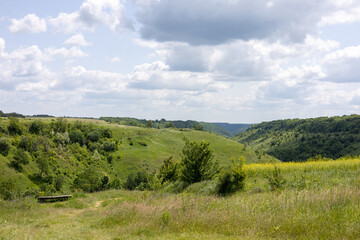Summer landscape in the green field