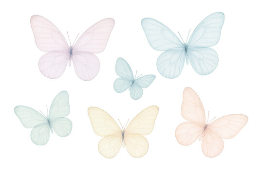 Fototapeta Six pastel-colored butterflies with their wings spread wide are gracefully flying against a transparent background, embodying beauty and elegance