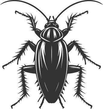 black cockroach insect detailed view clip art preview