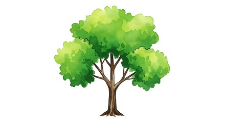 Watercolor illustration of a single tree
