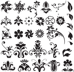 Beautiful flower art and mandala vector design