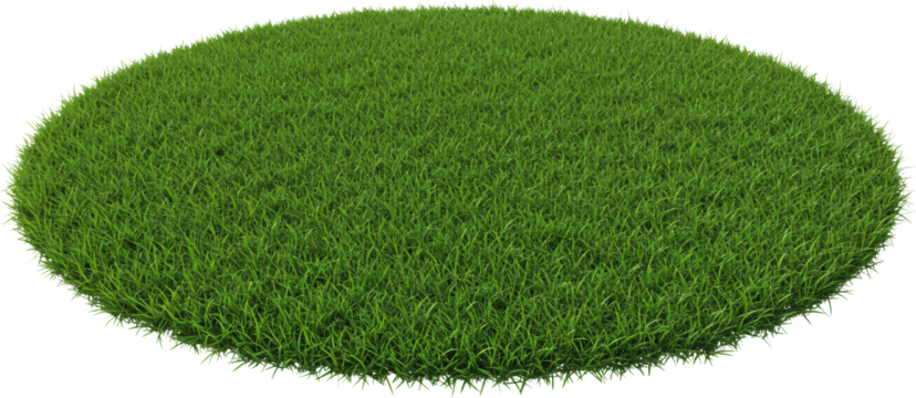 patch of grass with transparent background frame border	