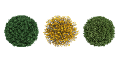 Architecture visualization 2D plans top view green yellow plants set ,architecture layout set of plants rendered from the top view, 3D illustration, for digital composition Architecture elements PNG