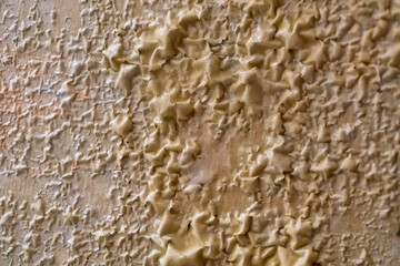 paint remover. Blistered paint. The master removes the old coating on the doors. The atmosphere of...