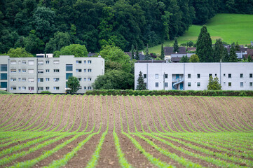 Agricultural Field and Residential Area in Itingen, Switzerland