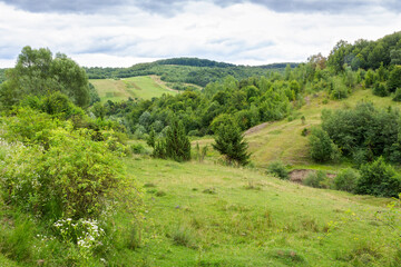 mountainous countryside of ukraine in summer. cloudy afternoon. landscape with green pasture and forest on the hill. rural scenery in the outskirts of svalyava district