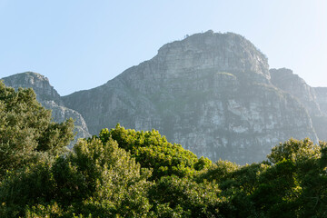 Botanical garden in Cape Town
