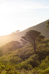 Signal Hill on the sunset