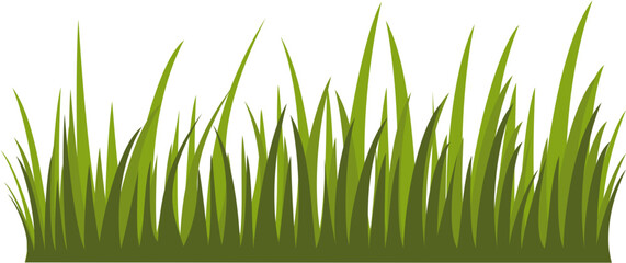 Fototapeta premium Green Grass Vector Illustration - Nature Landscape Element for Background and Desgin