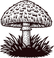 Hand drawn wild mushroom in vintage engraved with grass base isolated on white background illustration