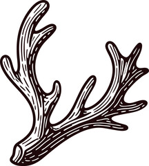 Obraz premium Detailed hand drawn illustration of antler branch forest wildlife element in vintage engraving sketch