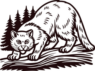 Obraz premium Wild forest cat illustration prowling near pine trees in vintage hand drawn engraved black and white