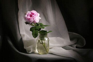 Floral background with a rose flower in a transparent vase