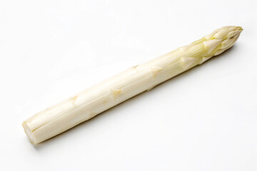 Single White Asparagus Spear Minimalist Studio Shot